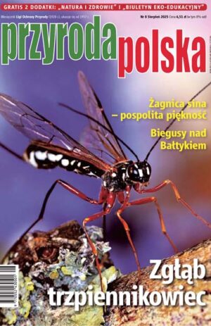 Przyroda Polska 8/2025