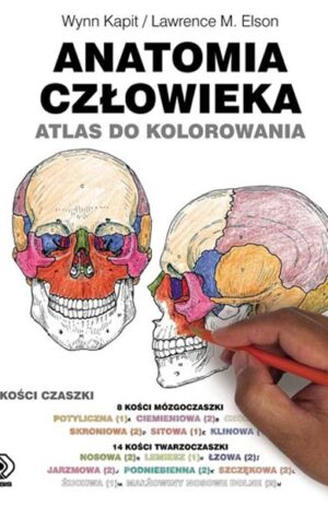 Anatomia człowieka. Atlas do kolorowania - Wynn Kapit, Lawrence M. Elison