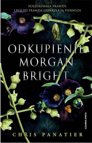 Odkupienie Morgan Bright - Chris Panatier