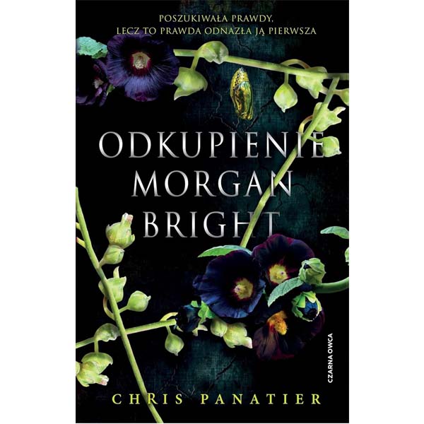 Odkupienie Morgan Bright – Chris Panatier