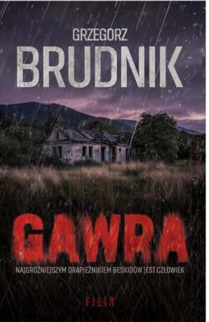 Gawra - Grzegorz Brudnik