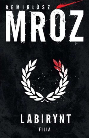 Labirynt - Remigiusz Mróz