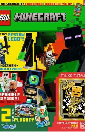 Magazyn Lego Minecraft 8/2025