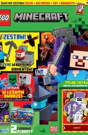 Magazyn Lego Minecraft 11/2024