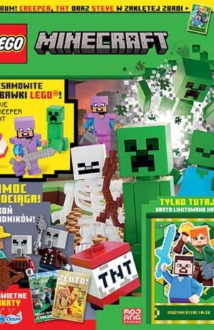 Magazyn Lego Minecraft 3/2025